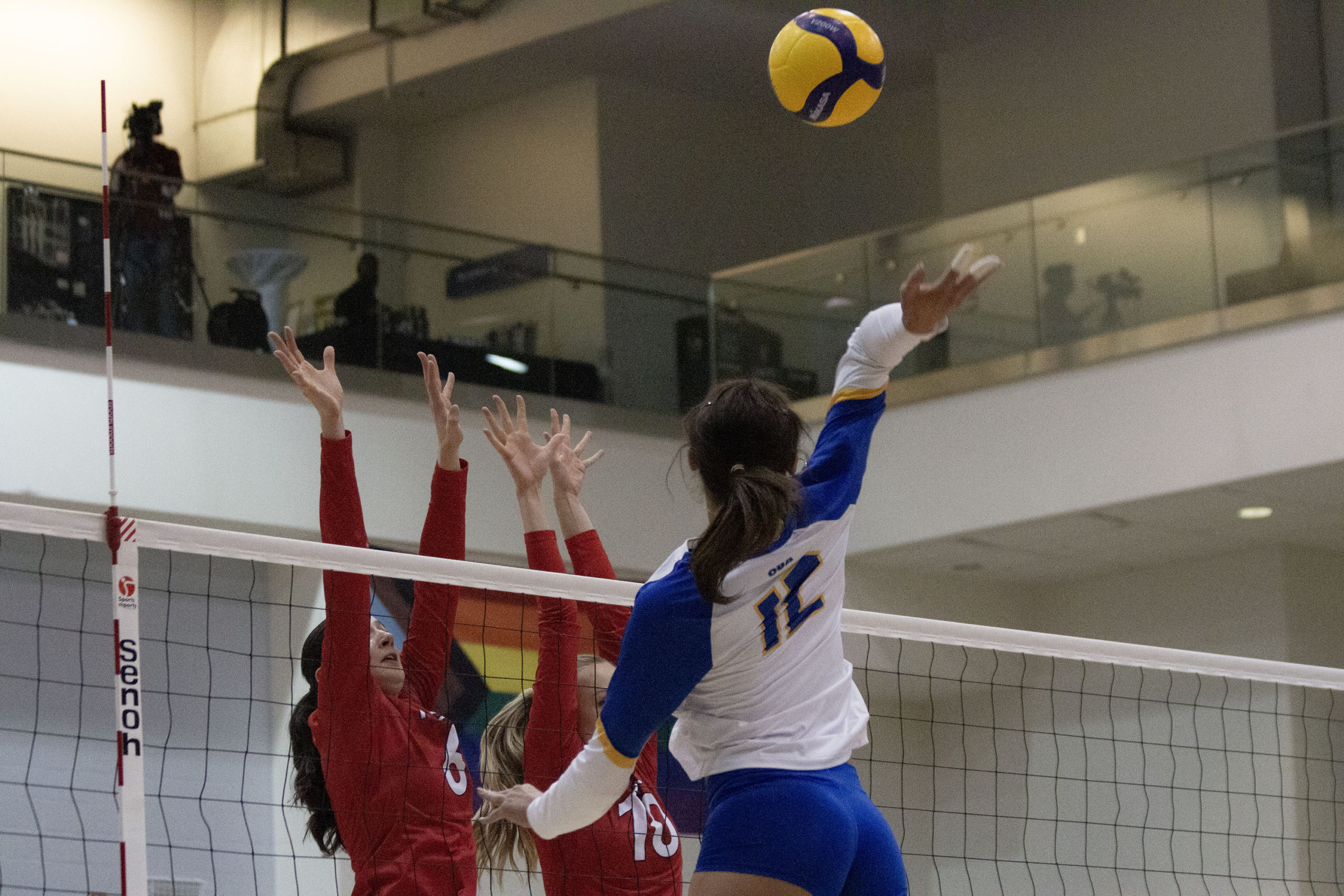 Scarlett Gingera about to hit the ball